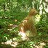 Ruciane_Nida_2014